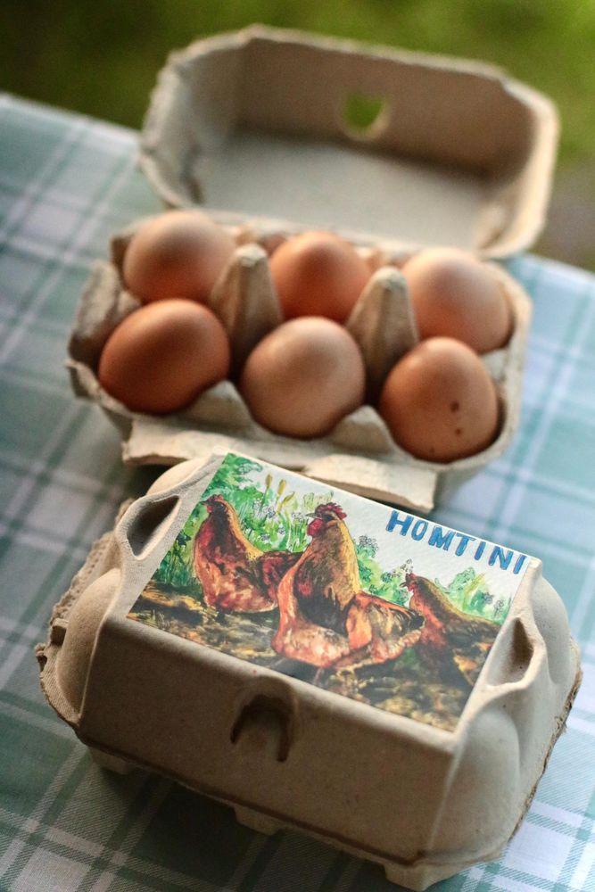 Chicken eggs gathered from open clover pastures