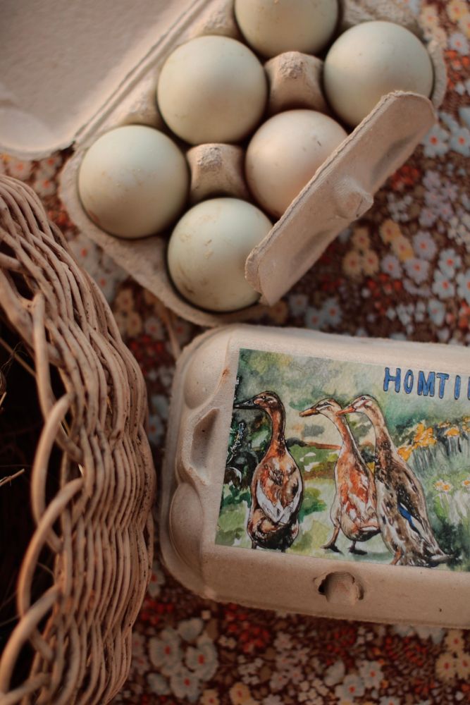 Duck eggs from Homitini's orchard-ranging ducks